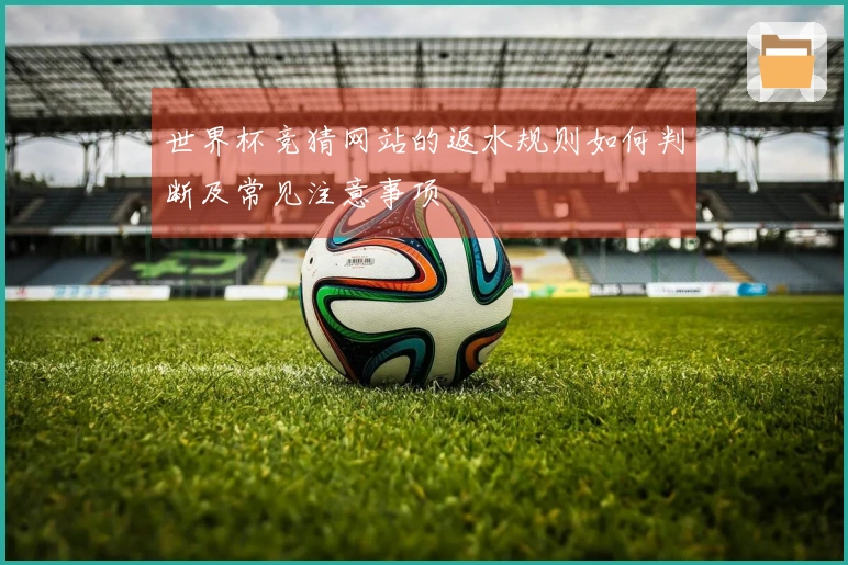 世界杯竞猜网站的返水规则如何判断及常见注意事项