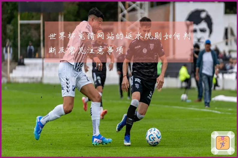 世界杯竞猜网站的返水规则如何判断及常见注意事项