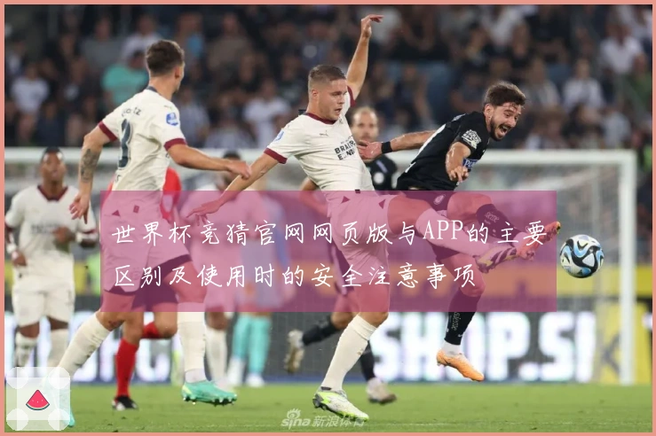 世界杯竞猜官网网页版与APP的主要区别及使用时的安全注意事项