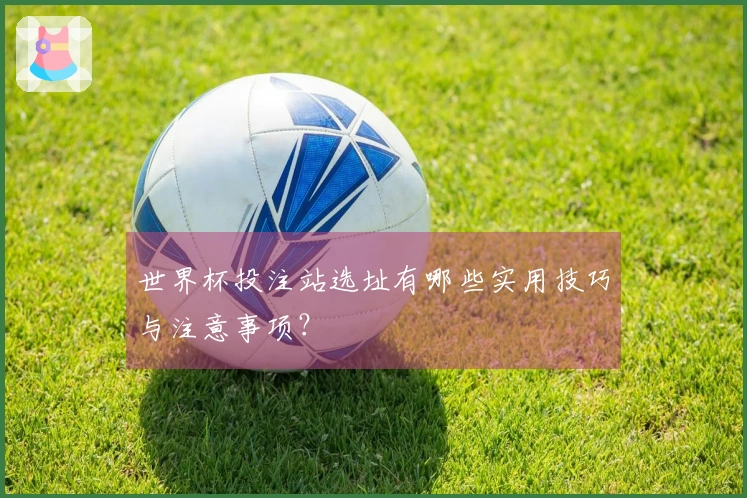 世界杯投注站选址有哪些实用技巧与注意事项？