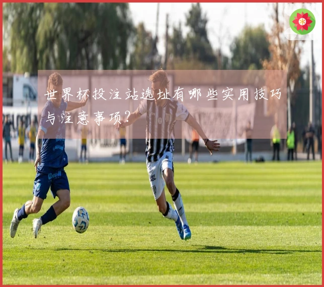 世界杯投注站选址有哪些实用技巧与注意事项？