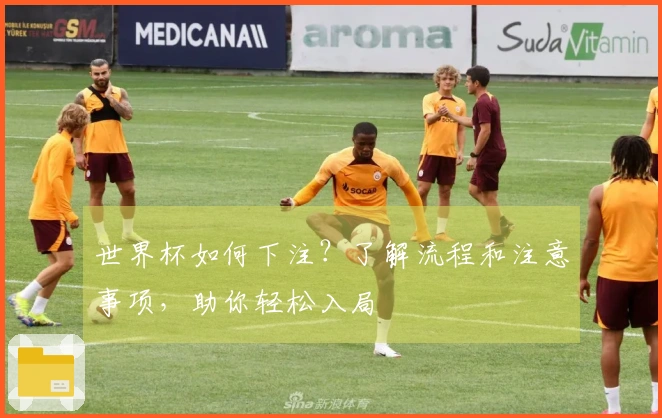 世界杯如何下注？了解流程和注意事项，助你轻松入局