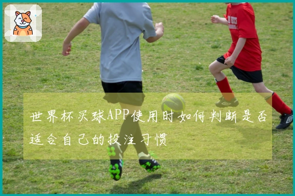 世界杯买球APP使用时如何判断是否适合自己的投注习惯